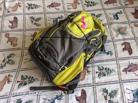 Daypack - camera bag packed
