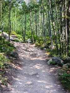 Trail to Taggart Lake