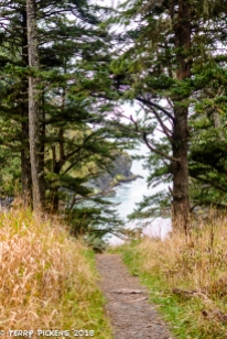 On the walk to Cape Disappointment Lighthouse