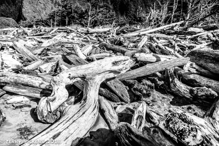 Storm tossed logs at Cape Disappointment Campground Beach